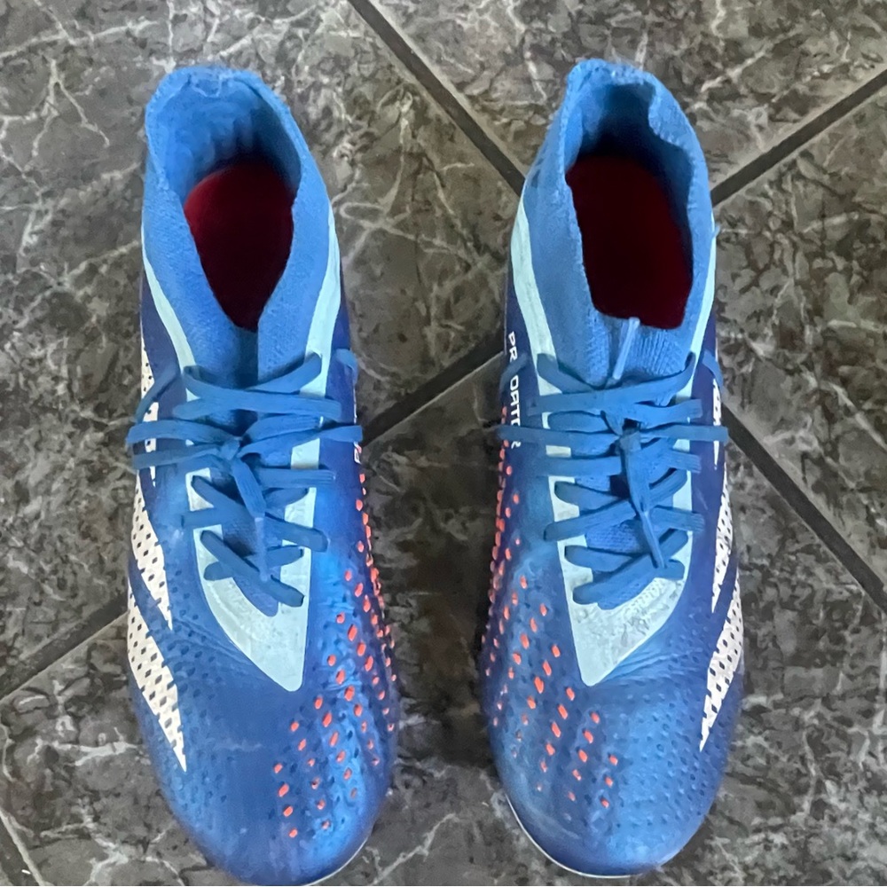 adidas Blue and White Sneakers